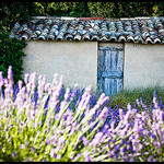 Cabanon provençal par Michel-Delli - Brunet 04210 Alpes-de-Haute-Provence Provence France