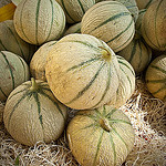 Melons de provence par Bitxuverinosa - Aix-en-Provence 13100 Bouches-du-Rhône Provence France