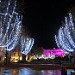 Noël sur le vieux port de Marseille par Josiane D. - Marseille 13000 Bouches-du-Rhône Provence France