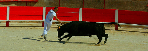 Corrida  par gi0rdan0 brun0