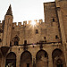 Palais des papes d'Avignon - créneaux par José Schettini Sobrinho - Avignon 84000 Vaucluse Provence France