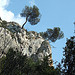 Le vallon de la Galère par surmjolk - Mérindol 84360 Vaucluse Provence France