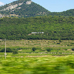 Collines et vignes de Vacqueyras par Gepat - Vacqueyras 84190 Vaucluse Provence France