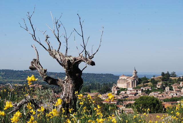 Bédoin, Provence (Vaucluse - Bédoin) par Marcxela