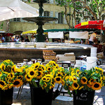 Uzes Market : Sunflowers par photoartbygretchen - Uzès 30700 Gard Provence France