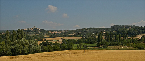 Provence by dimitryslavin